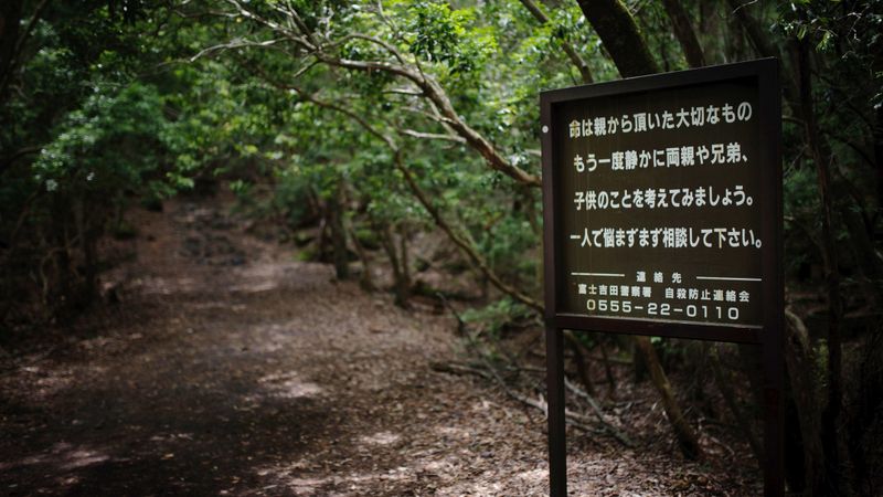 Aokigahara Forest, Japan