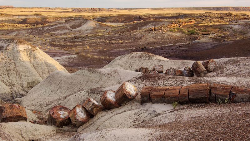 Arizona's Petrified Forest National Park