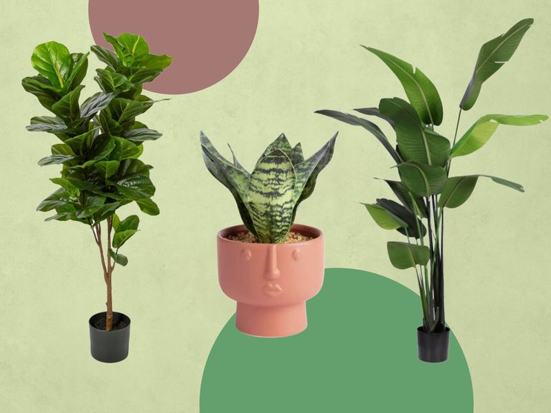 Artificial Plants