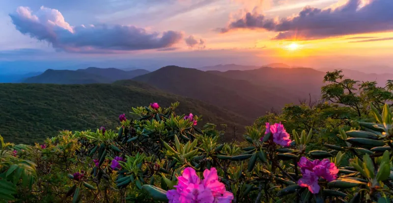 Bat Cave, North Carolina