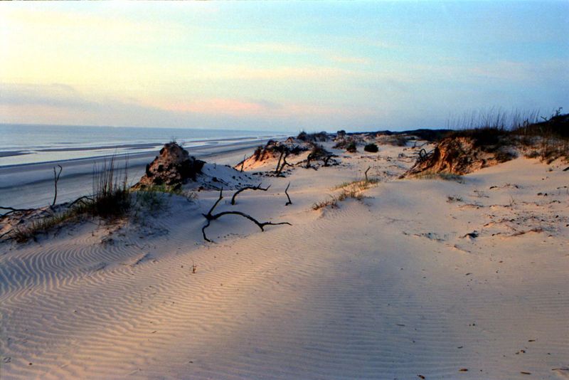 Cumberland Island, Georgia