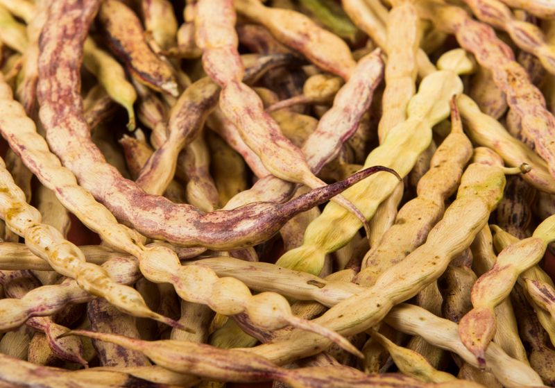 Mesquite Pods