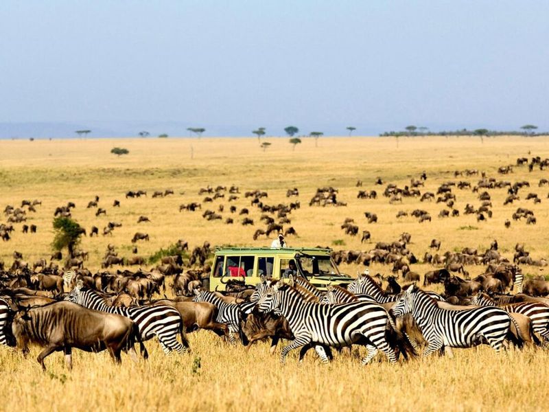 Serengeti National Park, Tanzania