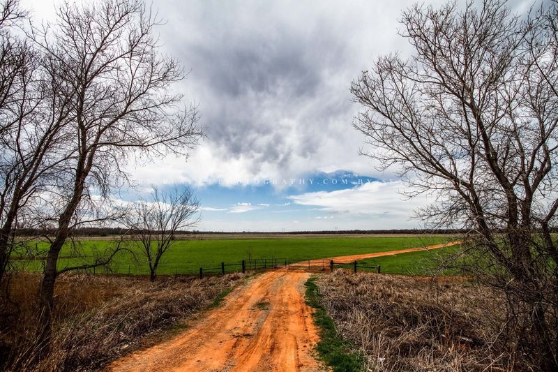 Southern Landscapes