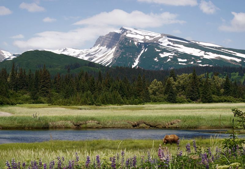 The Alaskan Wilderness, USA