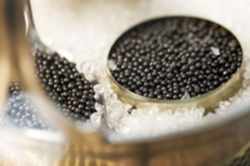 Beluga Caviar