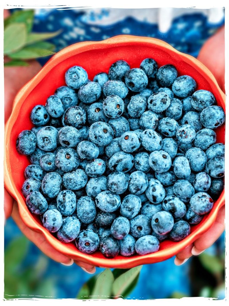 Blueberries