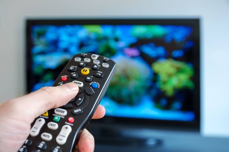 Cable TV Subscriptions