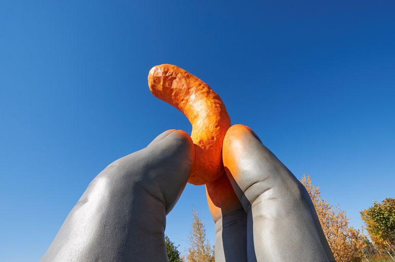 Cheetle: The Orange Dust