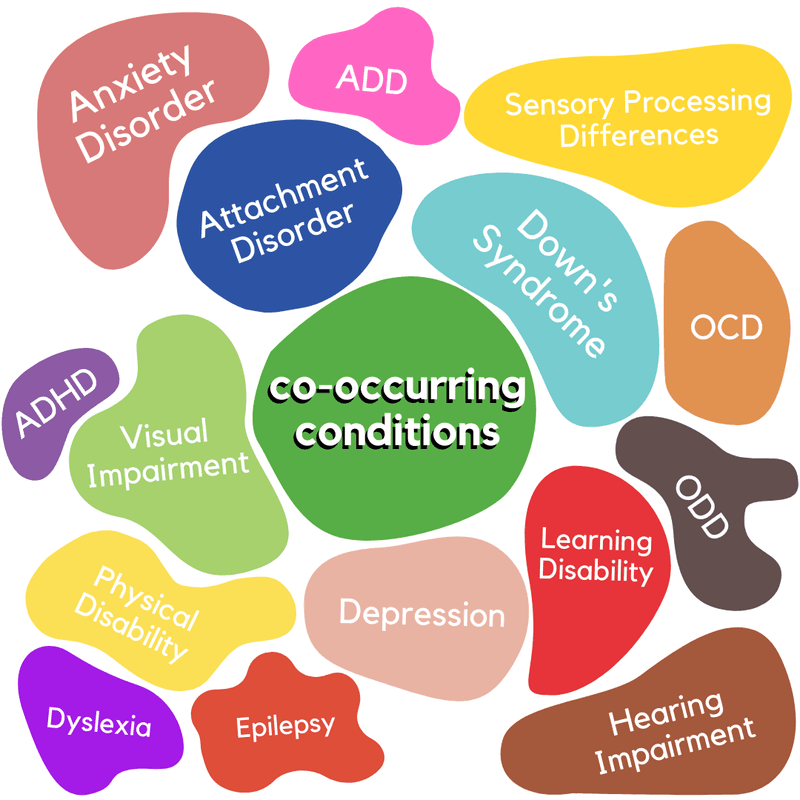 Co-occurring Conditions