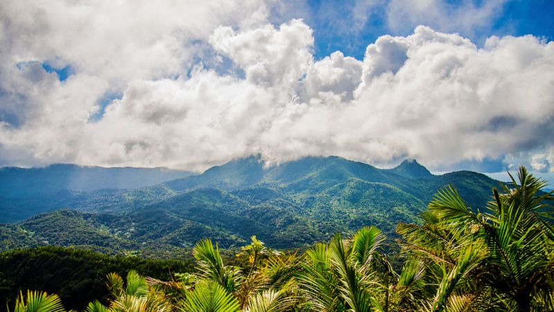 El Yunque National Forest, Puerto Rico