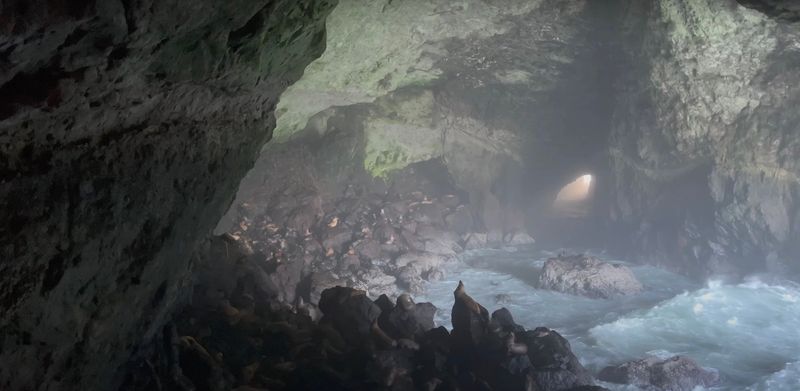 Hear the Roar of Sea Lions: Sea Lion Caves, Oregon