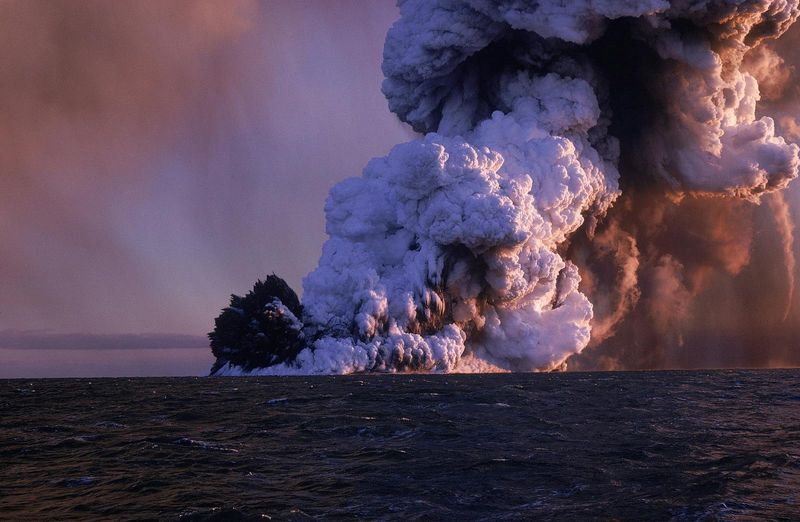 Impact on Marine Life