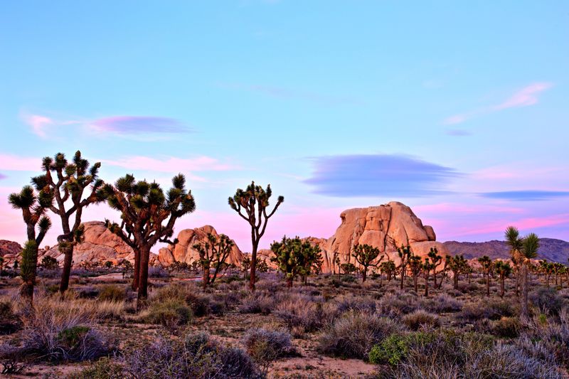 Mojave National Preserve, California