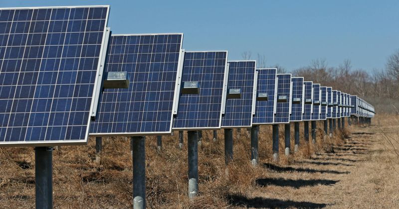 Renewable Energy Surge