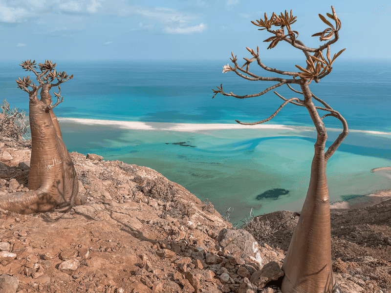 Socotra Island, Yemen