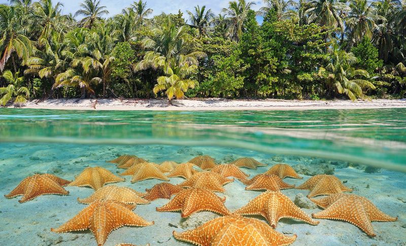 Stingray City, Cayman Islands