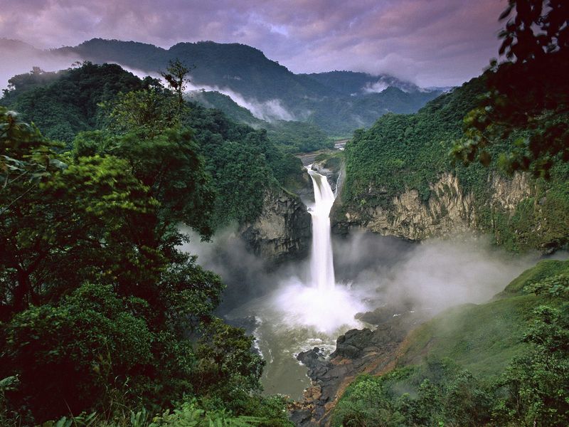 The Amazon Rainforest, South America