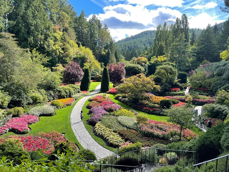The Beautiful Butchart Gardens
