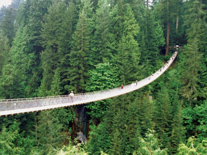 The Bizarre Capilano Suspension Bridge