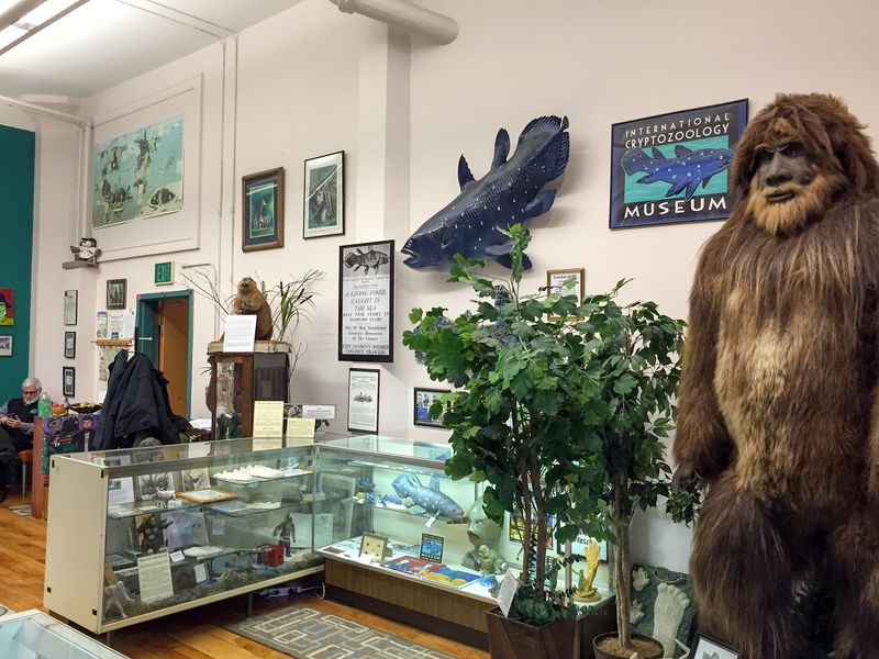 The International Cryptozoology Museum, Maine