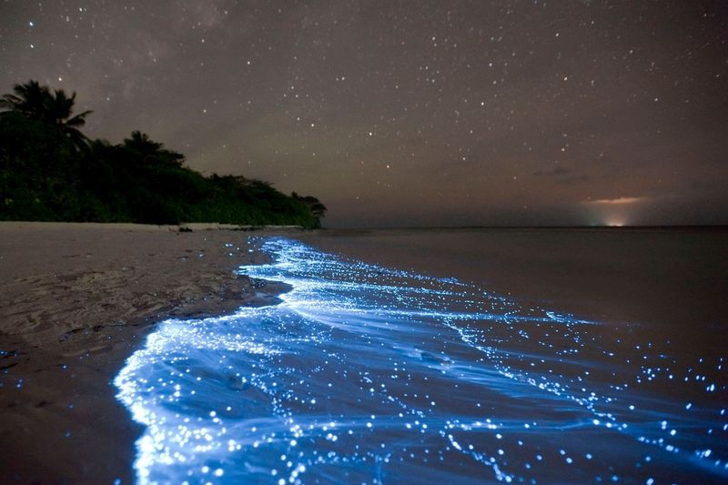 The Maldives Bioluminescent Beach