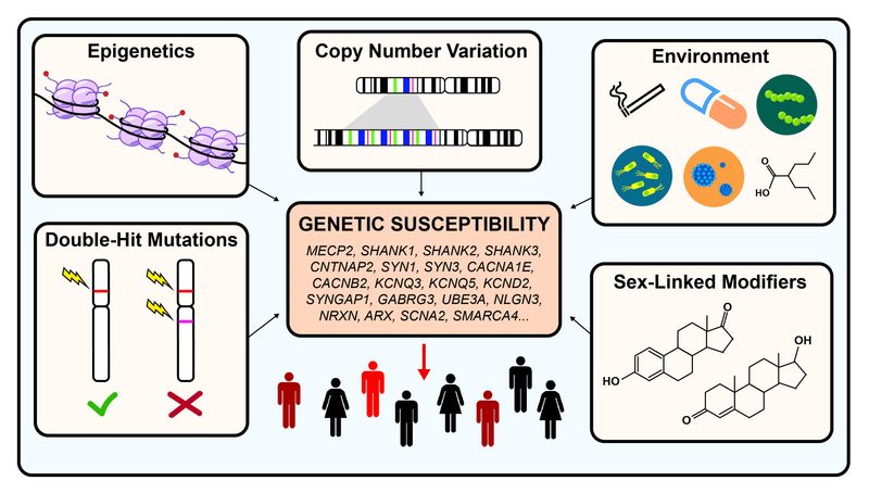 The Role of Genetics