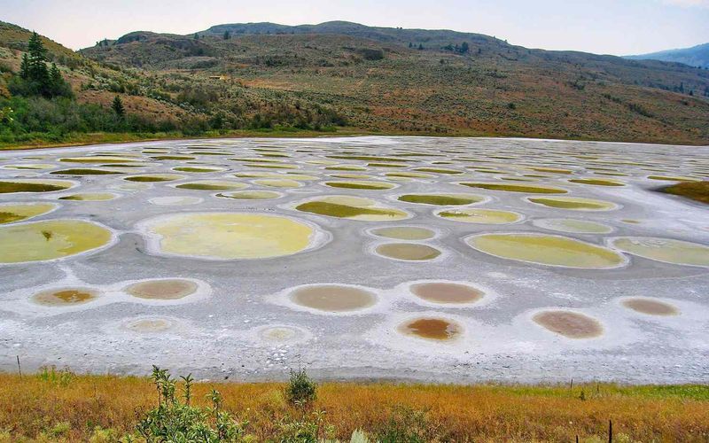 The Spotted Lake, Washington