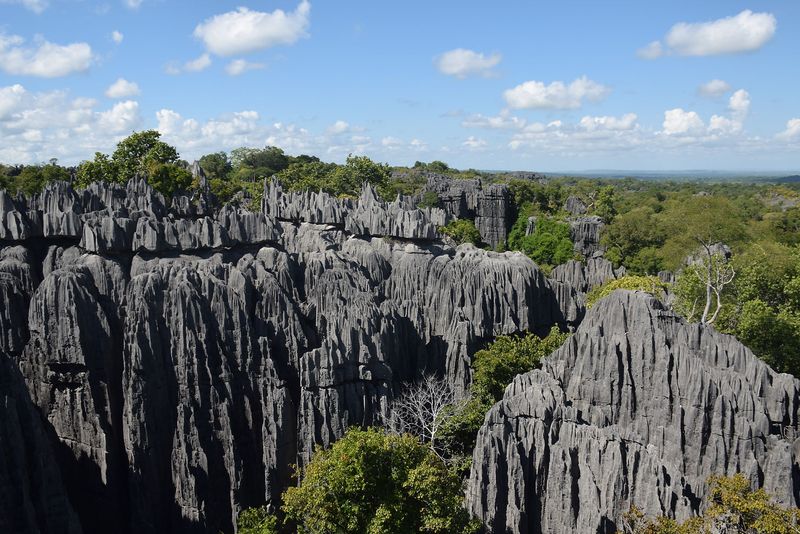 The Stone Forest, Madagascar