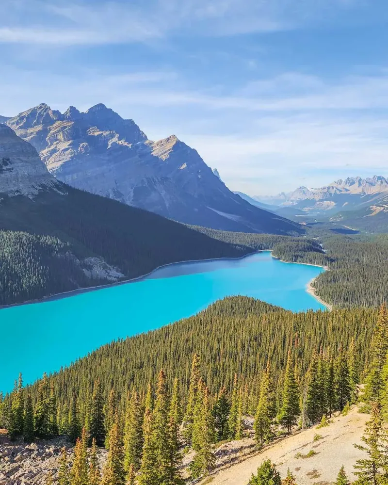 The Surreal Beauty of Peyto Lake