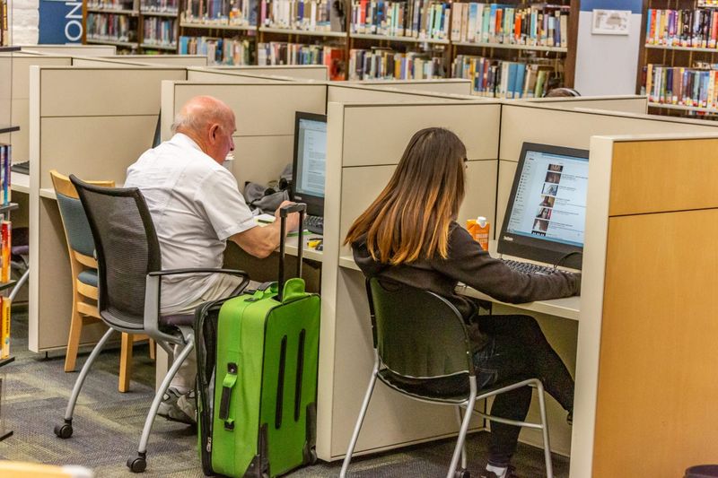 They Use the Library for the Internet