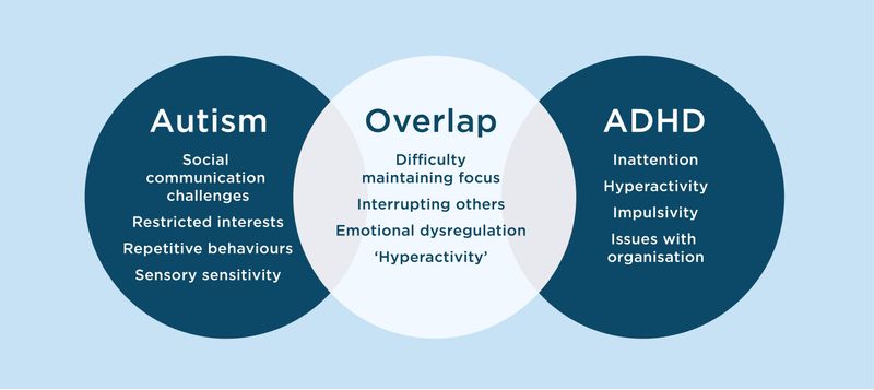 Understanding the Overlap